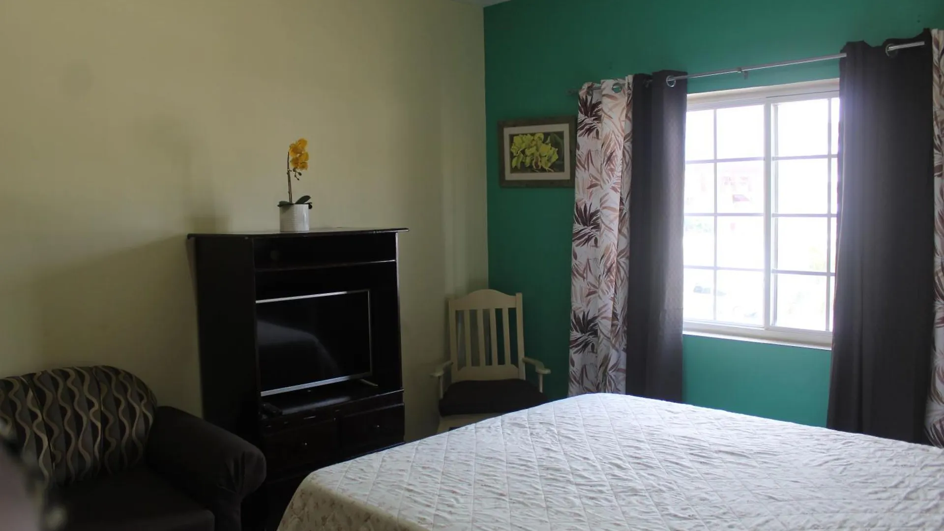 Cozy Deluxe 2Br Kensington New Kingston Apartment